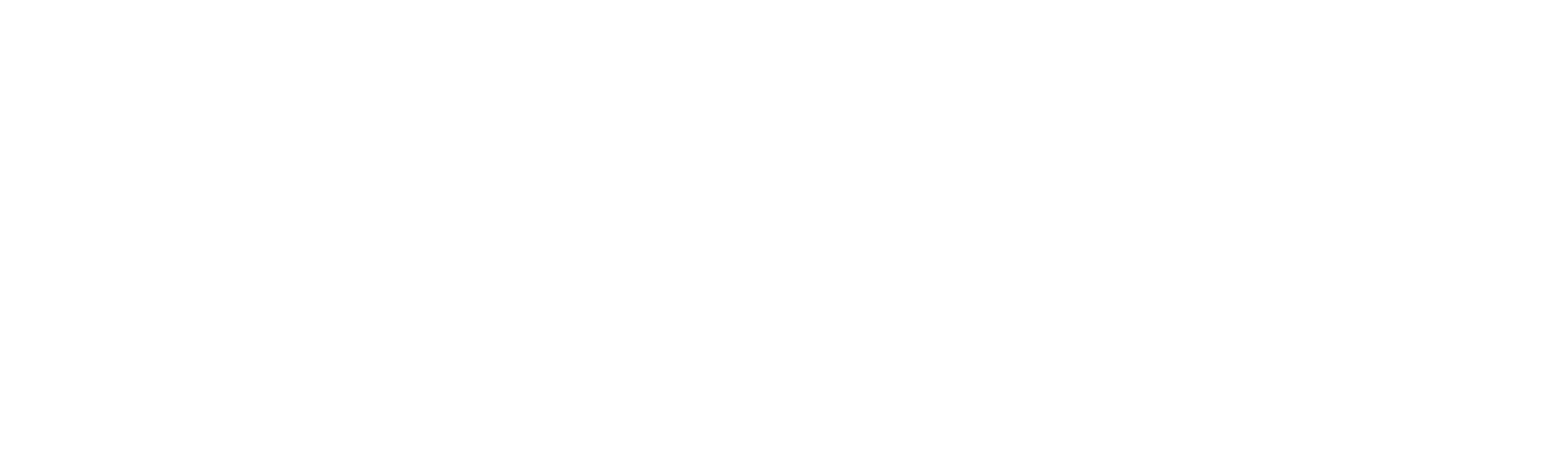The Shifters