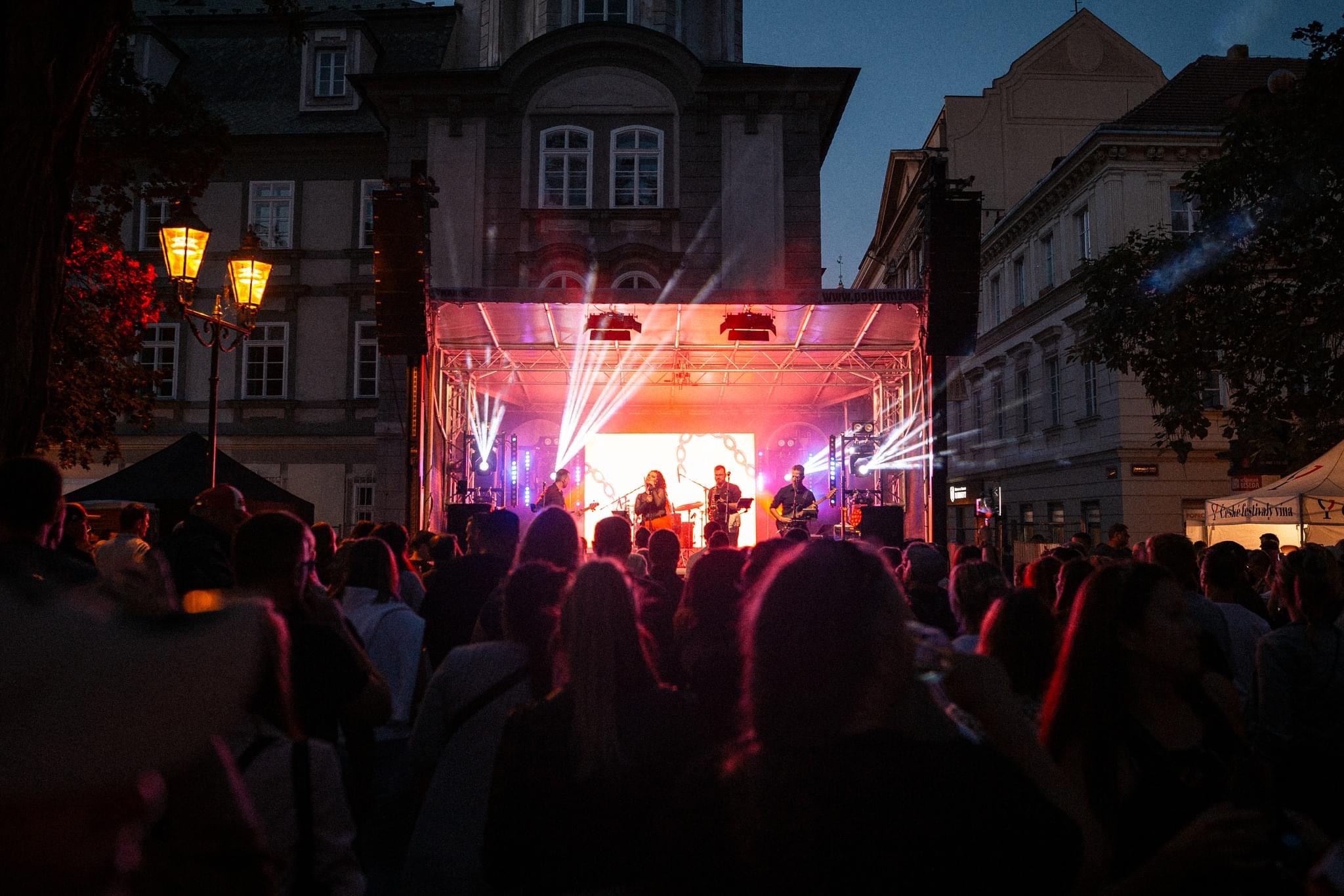 Back of a man at a concert. Hes wearing a beanie hat and a baggy denim jacket with studs. Photo with a purple hue